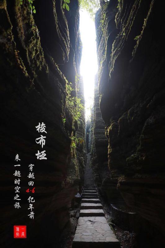 遭反噬了？贾玲不止电影海报抄袭，2年抄6部小品是抄袭惯犯